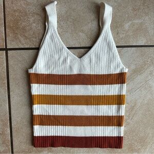 Active USA Multicolor Striped Crop Top